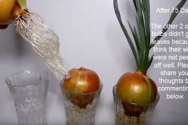 Ссылка на кракен krawebes