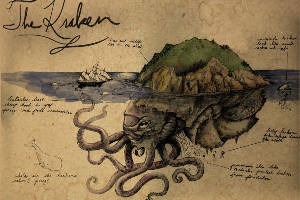 Kraken как найти ссылку