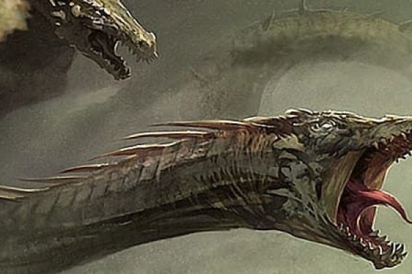 Kraken17at