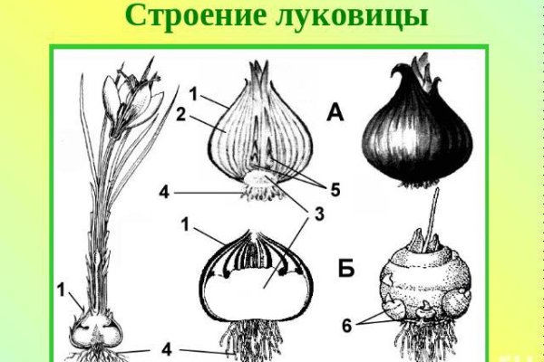 Ссылка кракен официальная тор