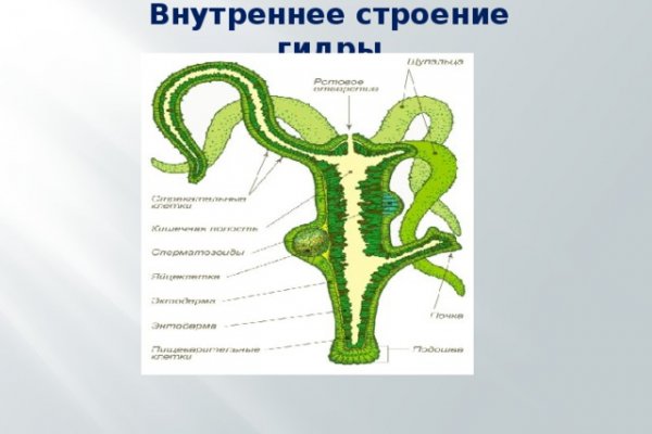 Кракен маркетплейс ассортимент